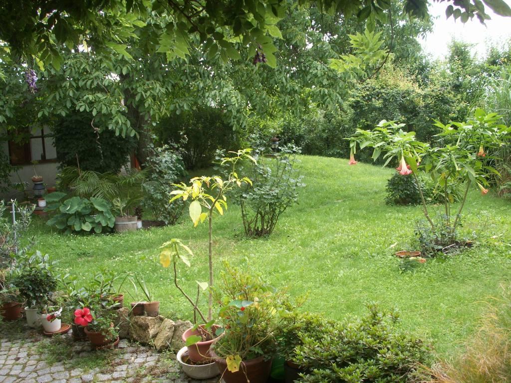 Dresdner Hoehe Dresda Exterior foto